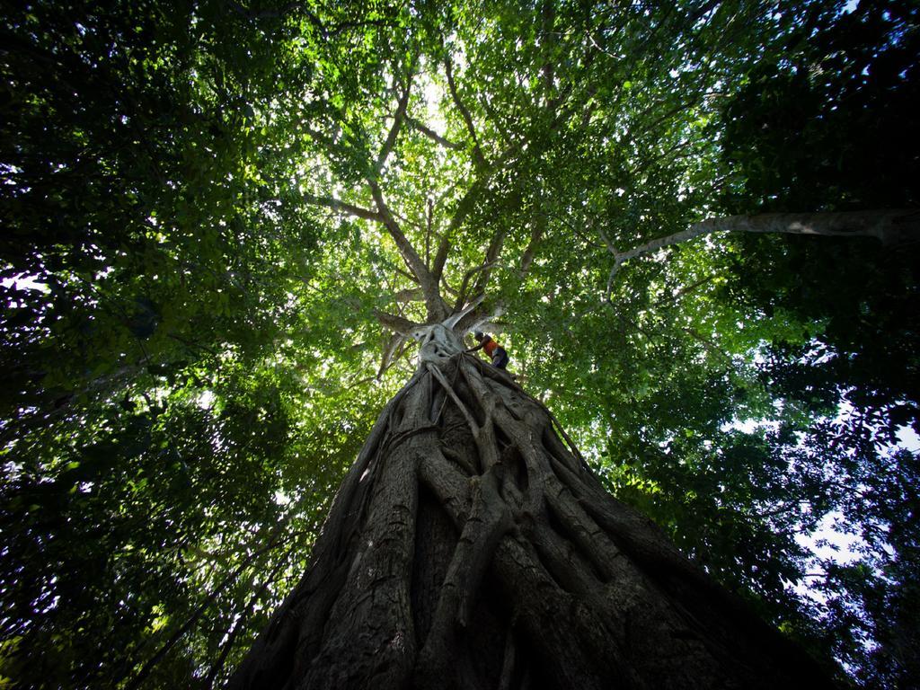 Pousada La Bonita Baía Formosa Buitenkant foto