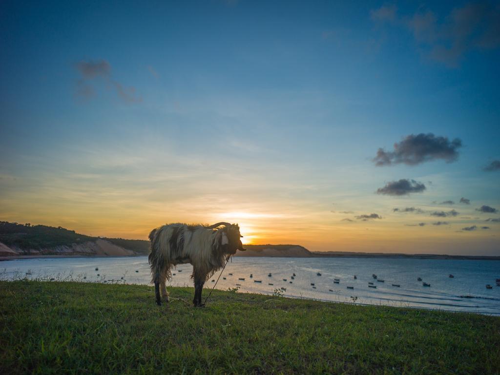 Pousada La Bonita Baía Formosa Buitenkant foto
