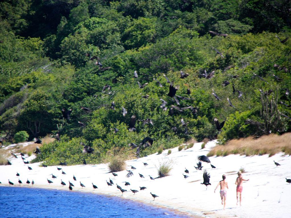 Pousada La Bonita Baía Formosa Buitenkant foto