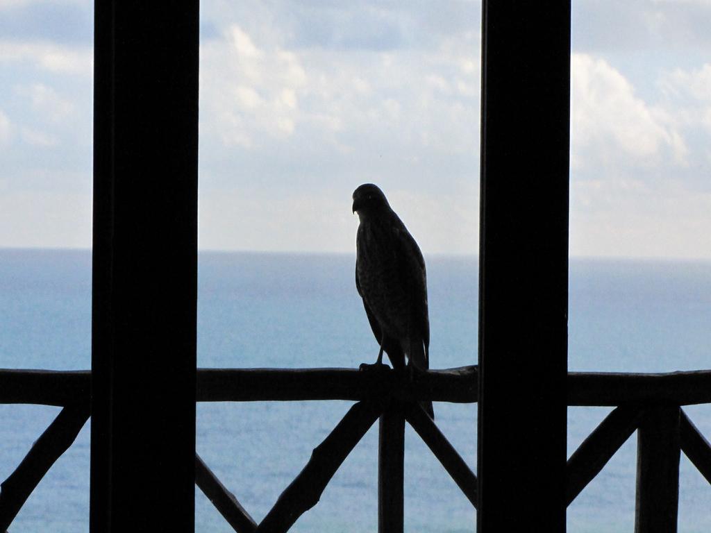 Pousada La Bonita Baía Formosa Buitenkant foto