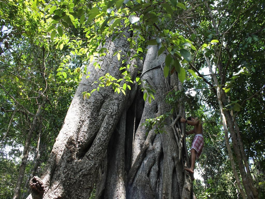 Pousada La Bonita Baía Formosa Buitenkant foto