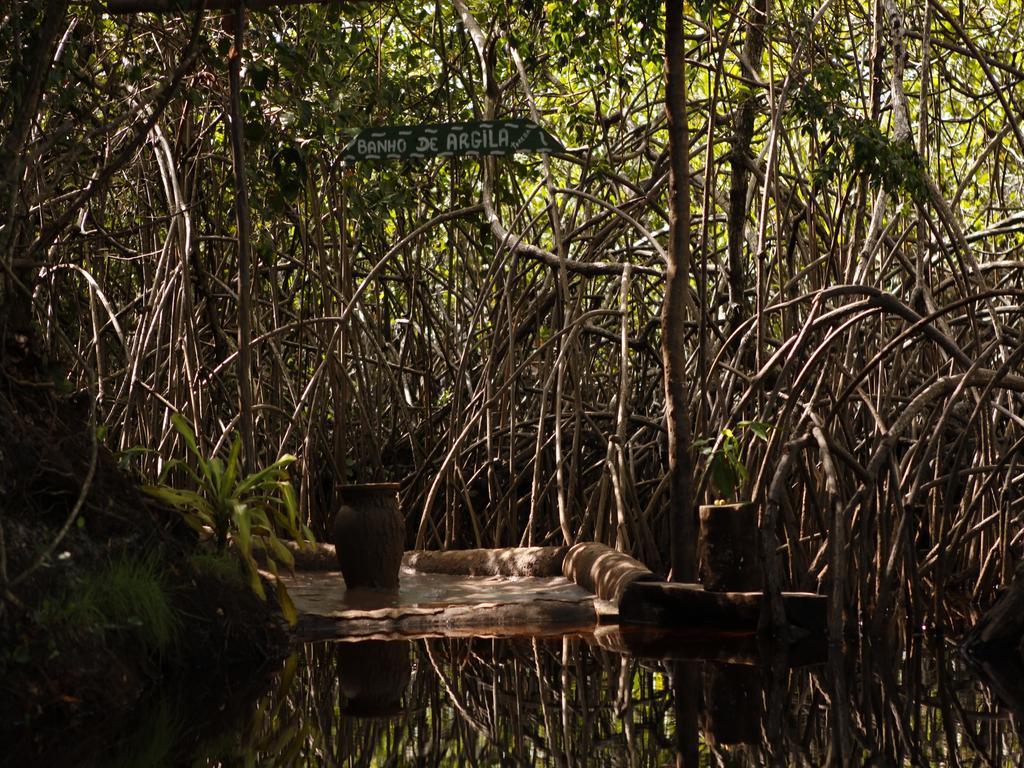 Pousada La Bonita Baía Formosa Buitenkant foto