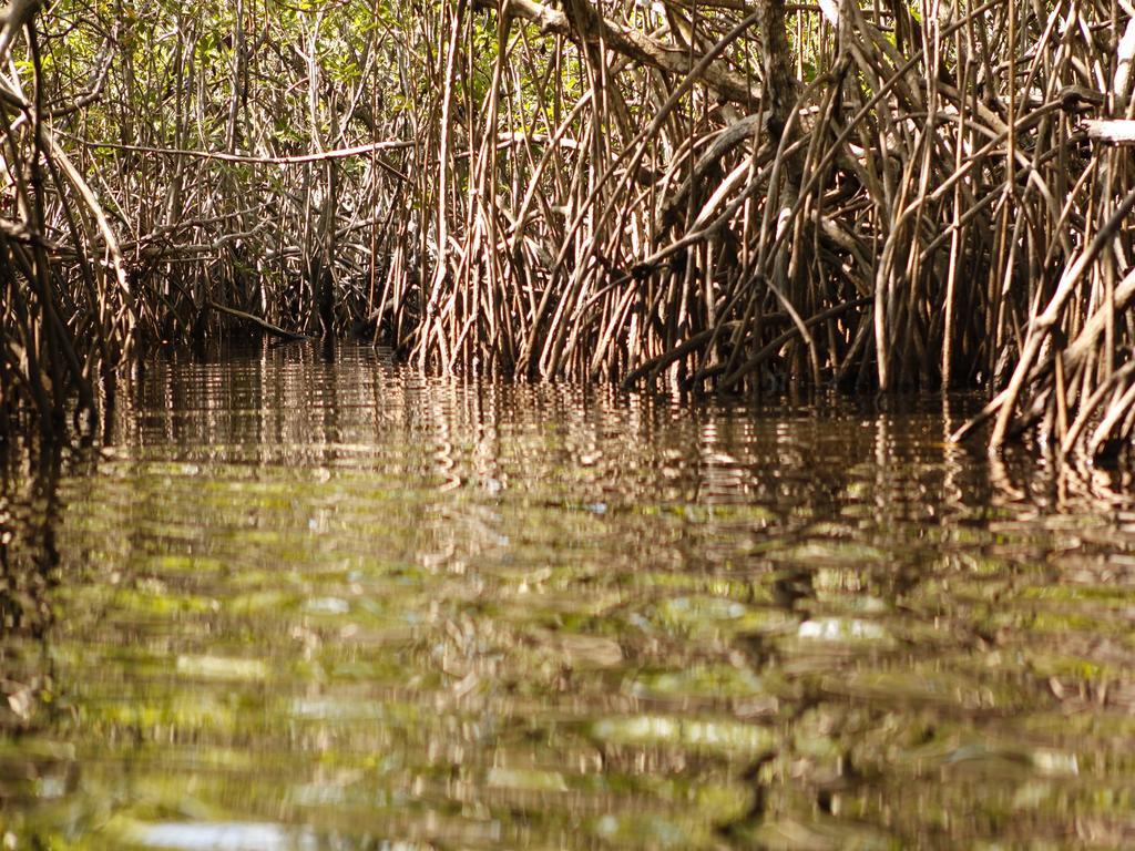 Pousada La Bonita Baía Formosa Buitenkant foto