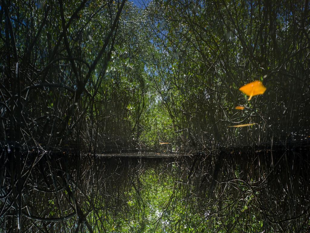 Pousada La Bonita Baía Formosa Buitenkant foto